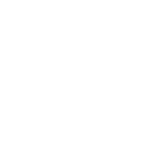 logo WS
